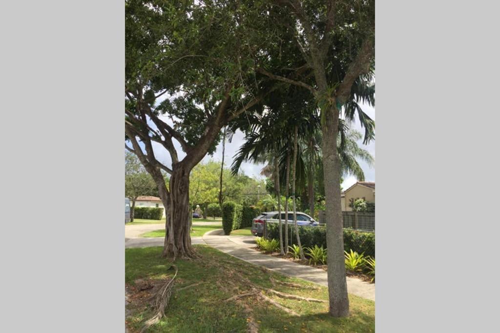 Willa Beautiful Quiet Neighborhood Miami Zewnętrze zdjęcie